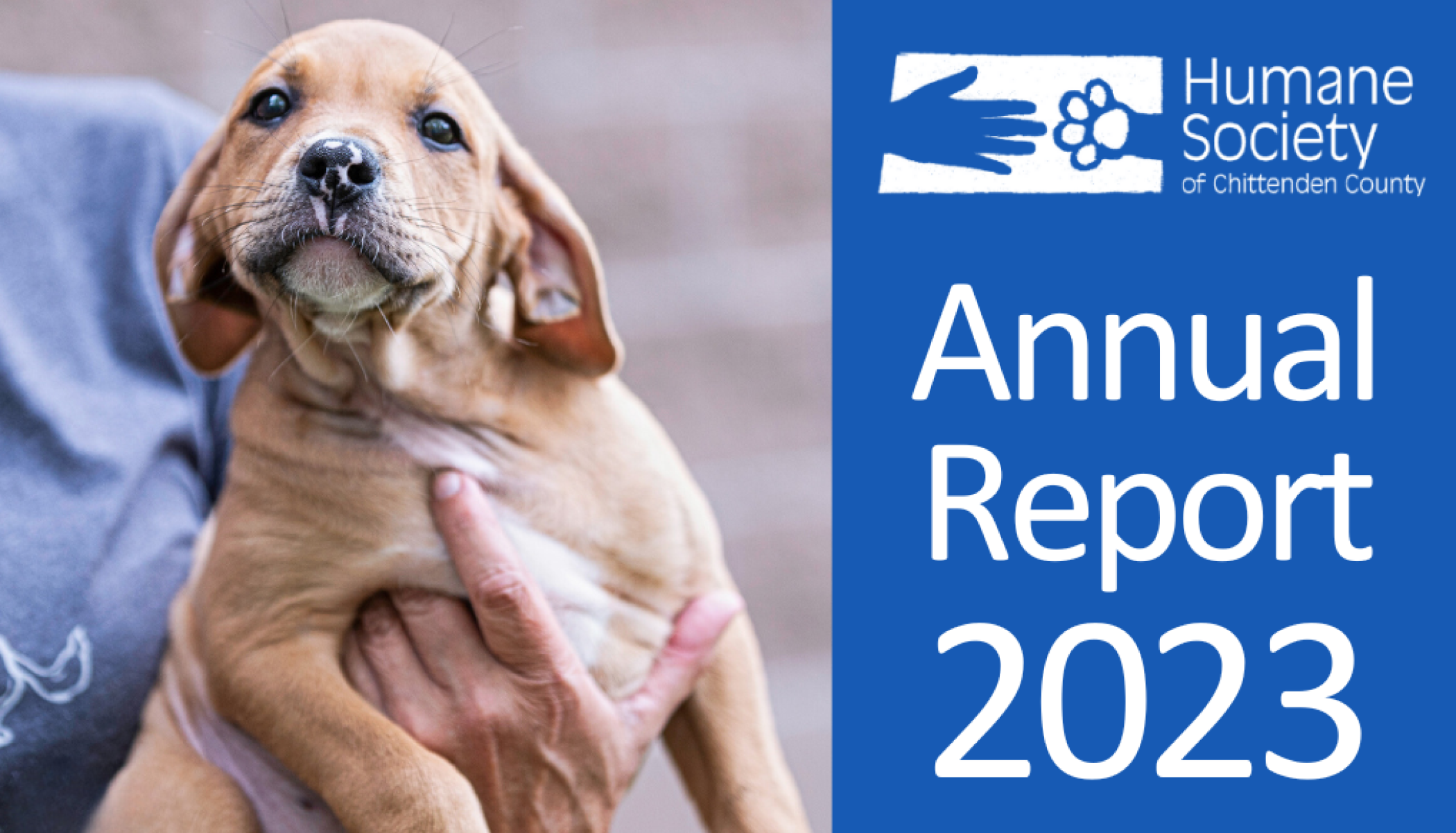 Annual_Report_2023_NewsEvents.png